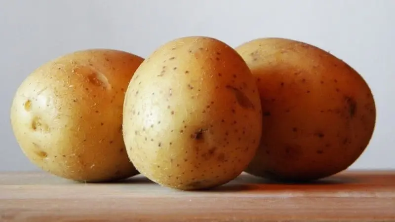 Carbohidratos