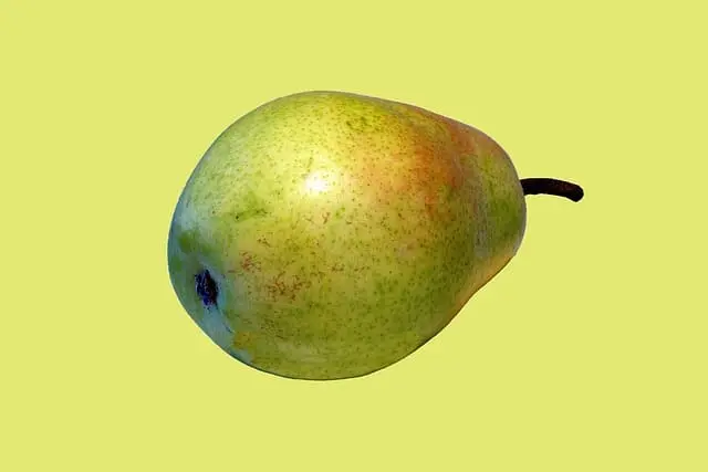 Fibra