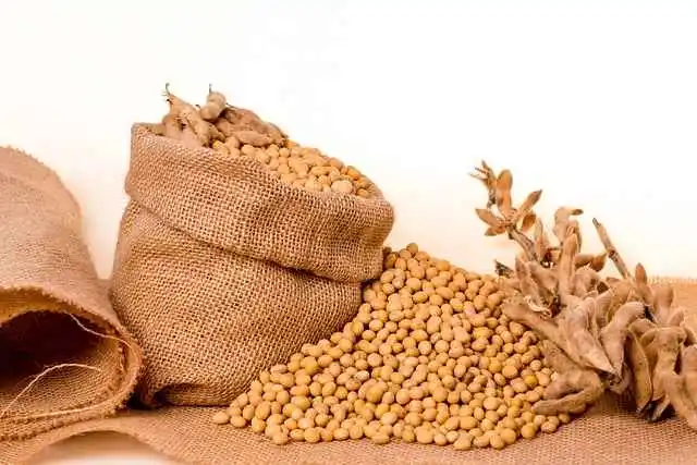 Micronutrientes