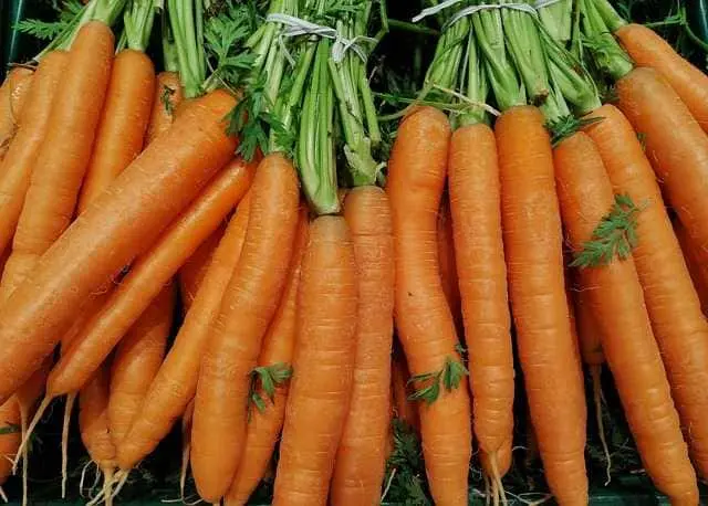 Vitaminas