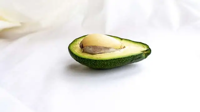 Aguacate