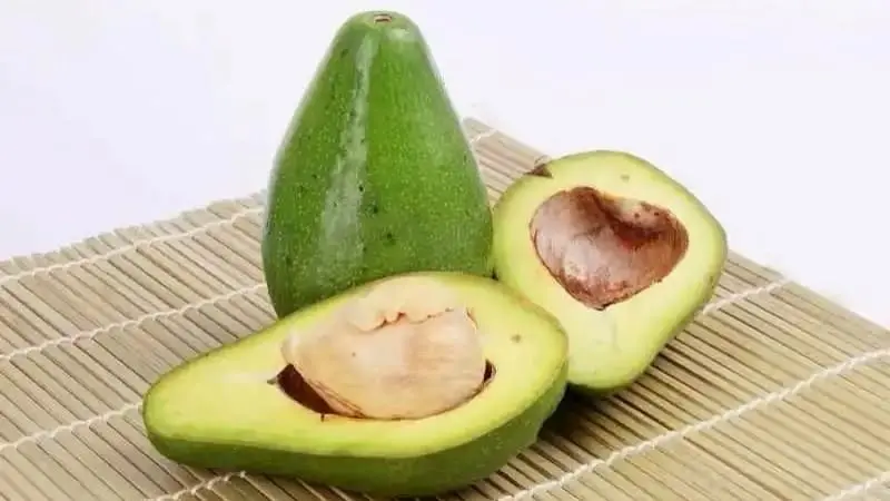 Aguacate