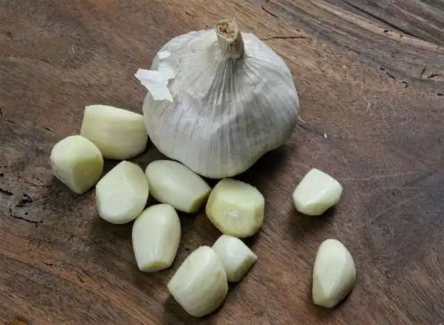 Ajo