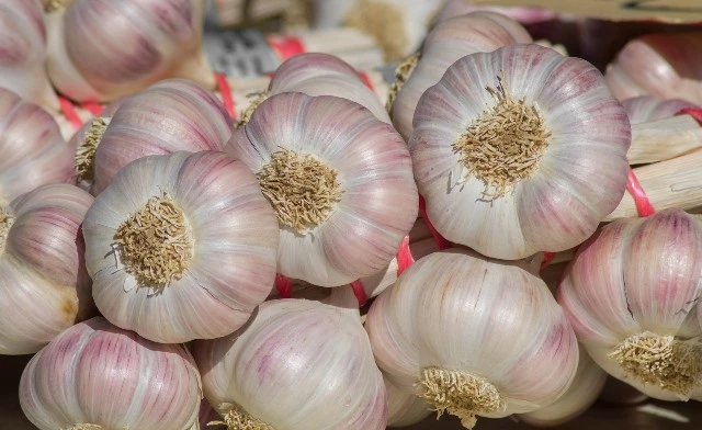 Ajo