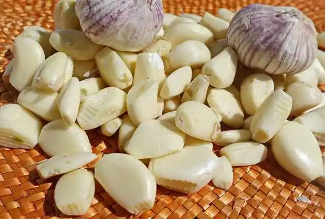 Ajo