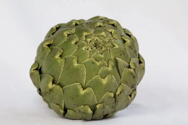 Alcachofa