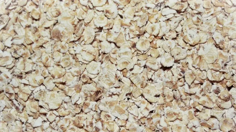 Avena