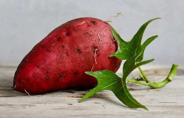 Batatas