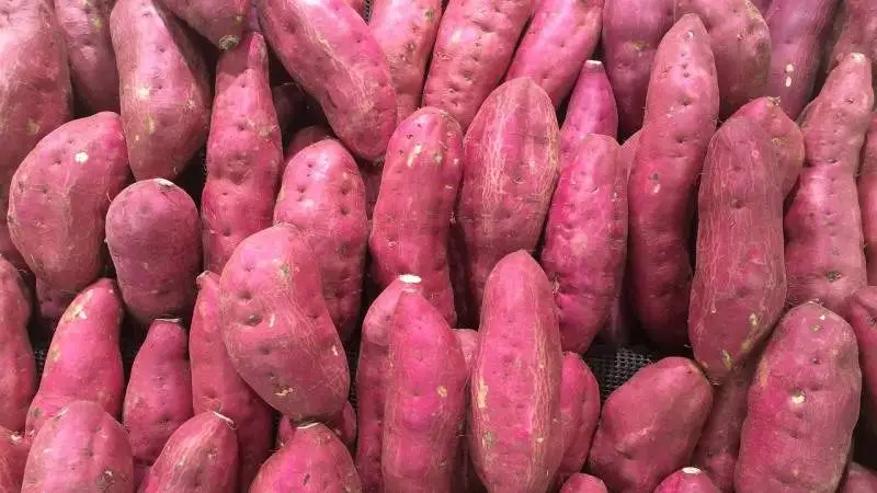 Batatas