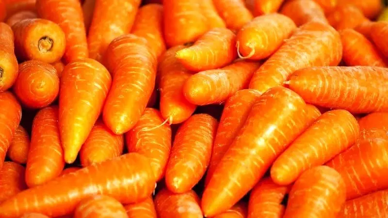 Vitamina A