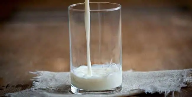 Vitamina B12