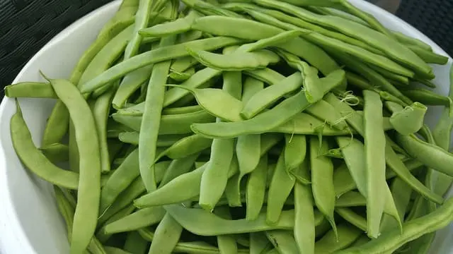 Vitamina B3
