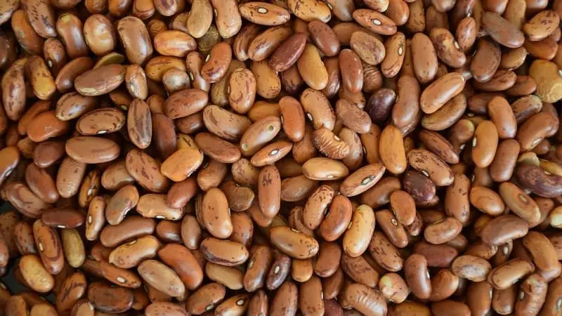 Vitamina B5
