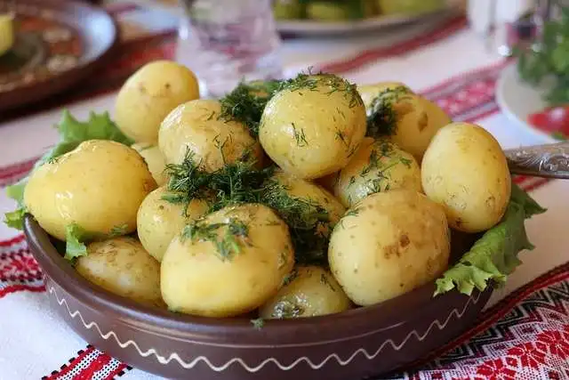 Vitamina B6