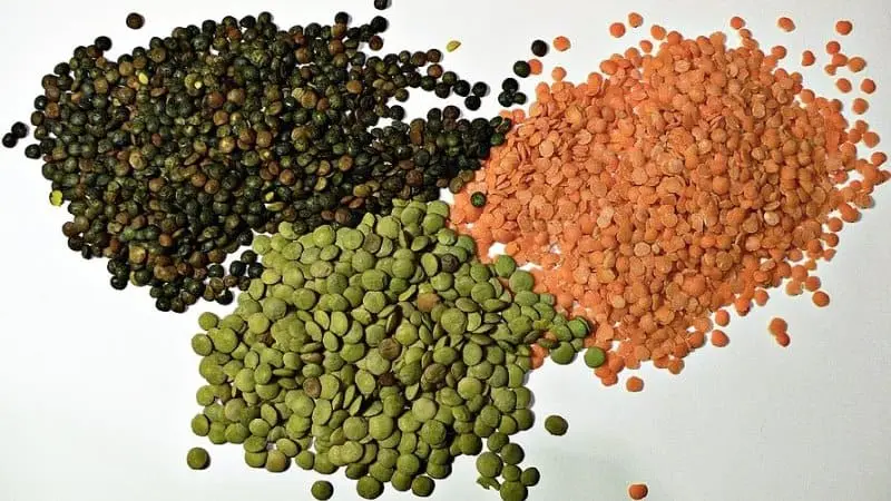 Vitamina B9