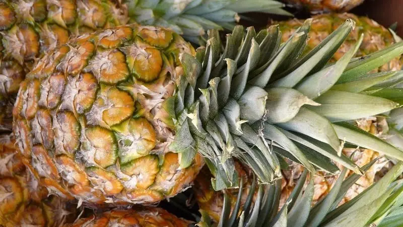 Vitamina C