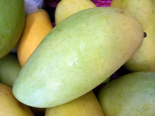 Vitamina E