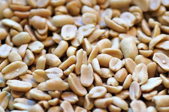 Cacahuates