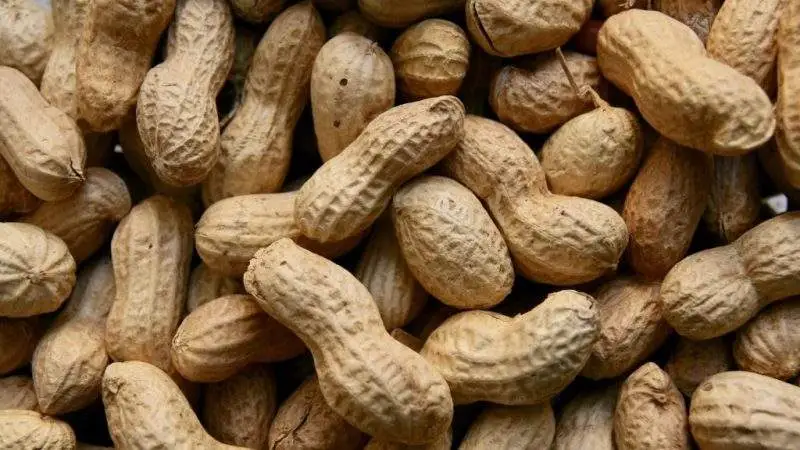 Cacahuates