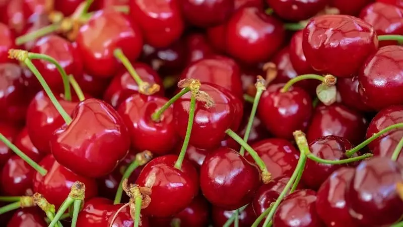 Cerezas