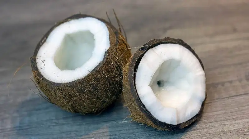 Coco