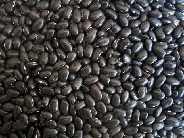 Frijoles
