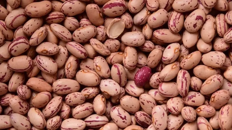Frijoles