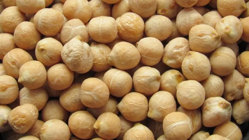 Garbanzos