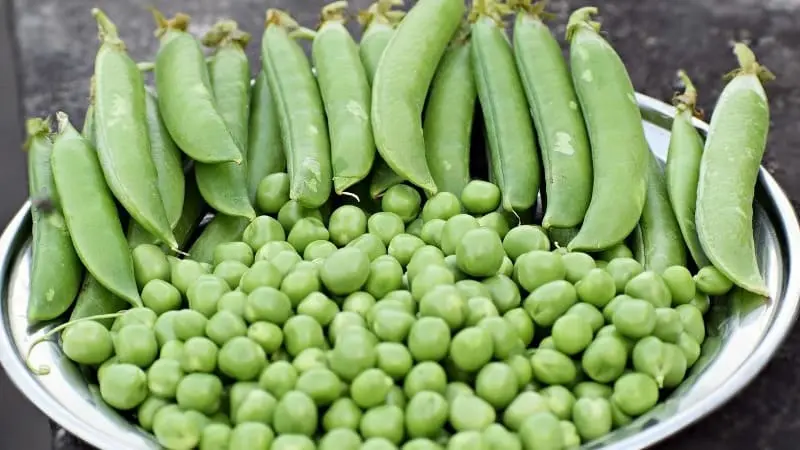 Guisantes
