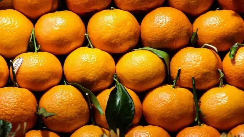 Mandarina