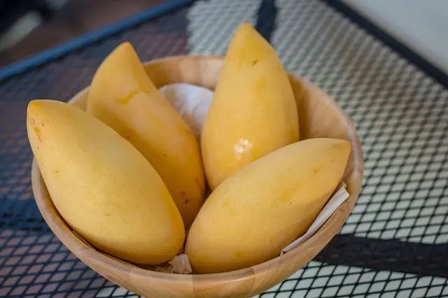 Mango