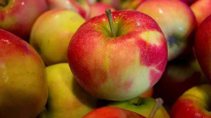 Manzana