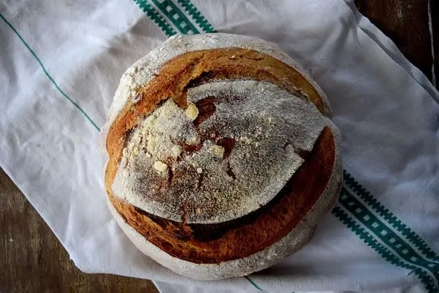 Masa madre