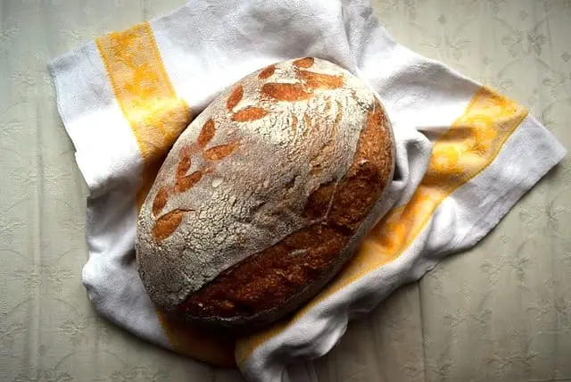 Masa madre