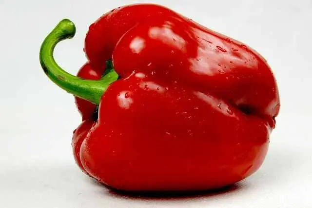 Pimiento