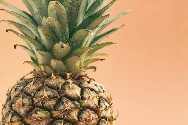 Piña