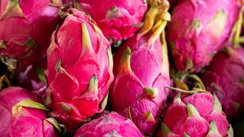 Pitahaya