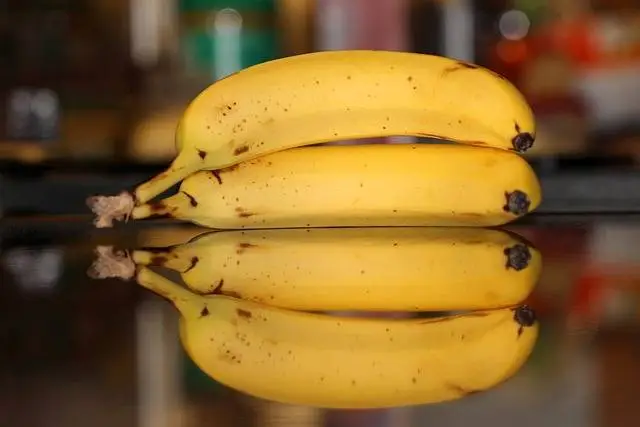 Plátano