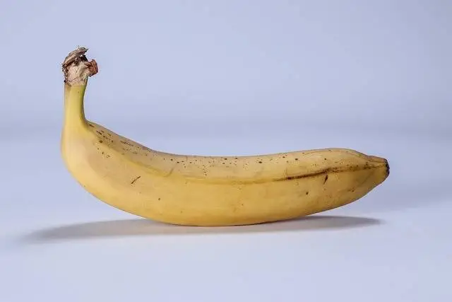 Plátano