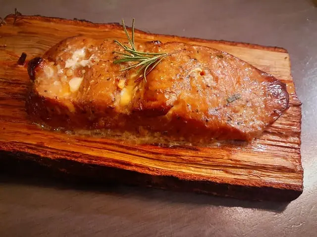 Salmon