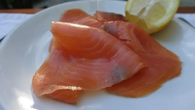 Salmon