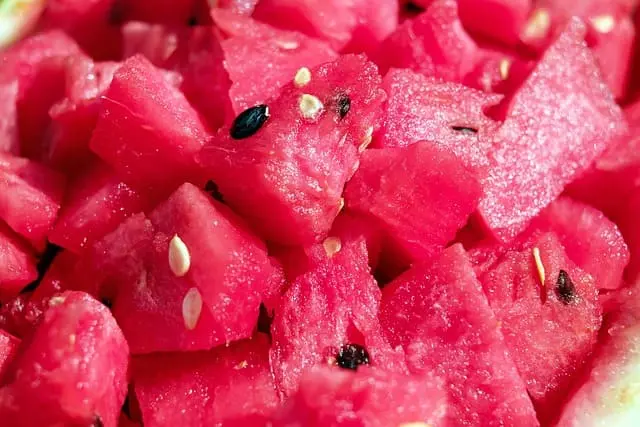 Sandia