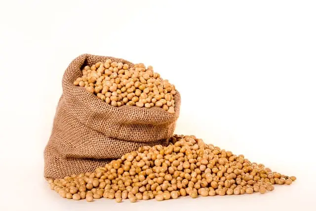 Soya