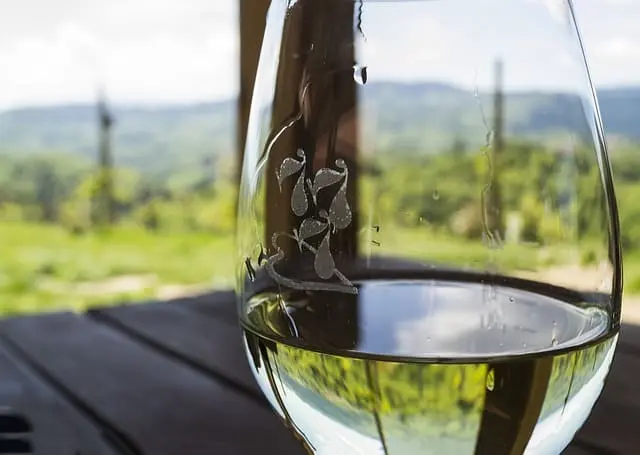 Vino